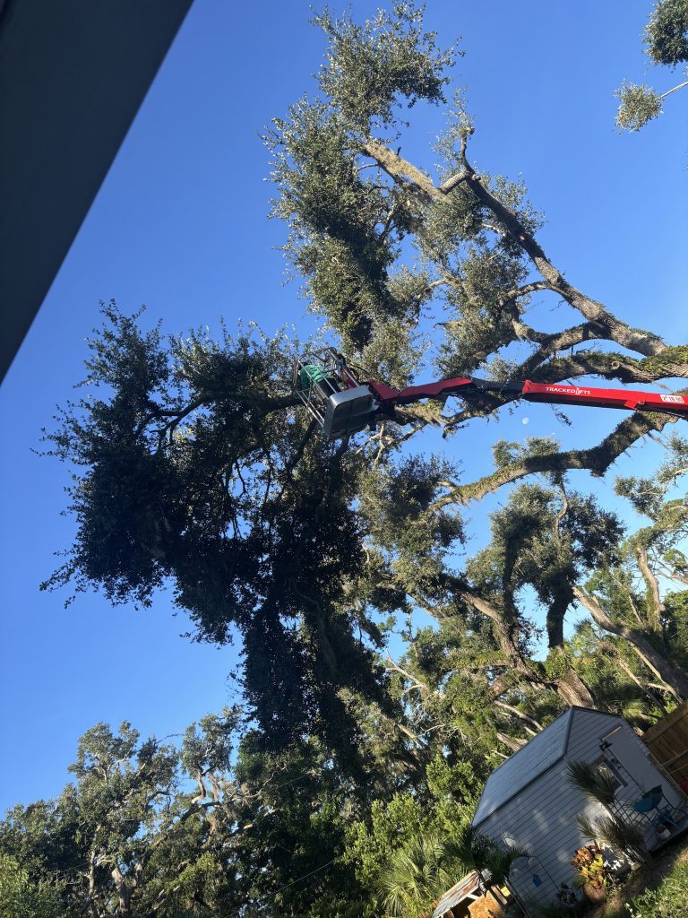 Tree and landscaping work by Yoder's Tree and Land Services