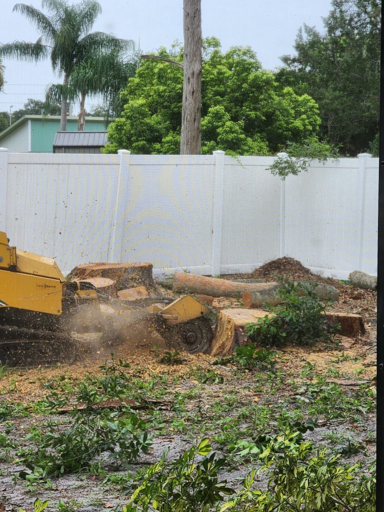 Tree and landscaping work by Yoder's Tree and Land Services