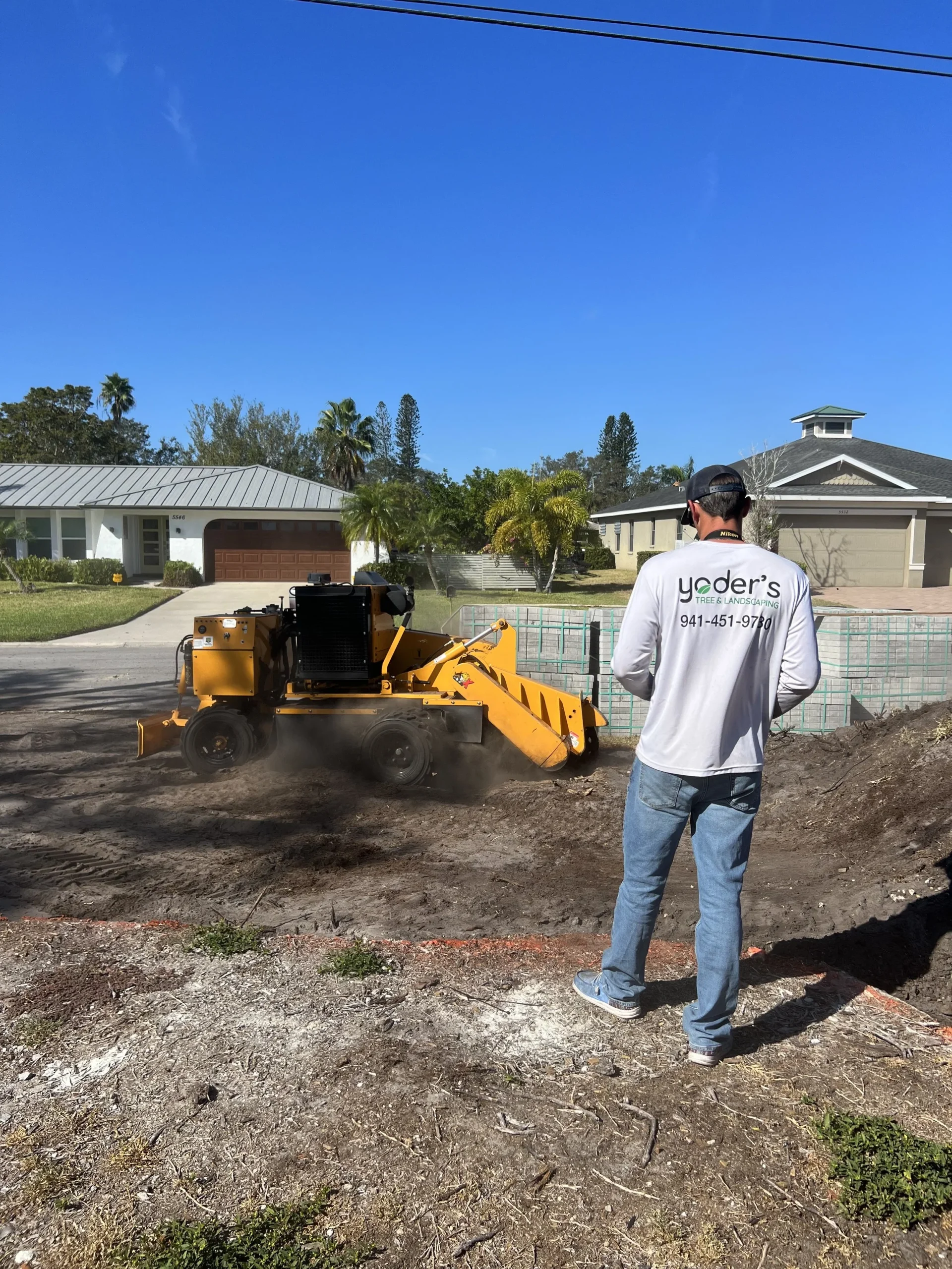 Precision tree trimming on a palm tree in a residential yard