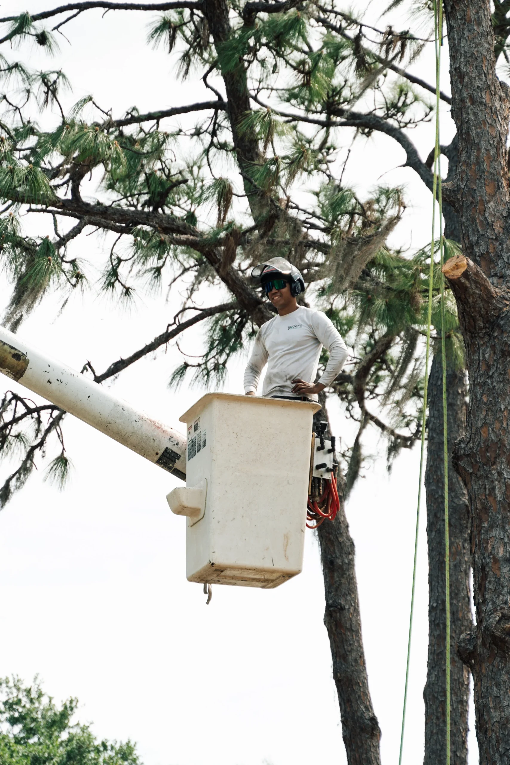 Brady Bernstein co-owner of Yoder's Tree and Land Services Services