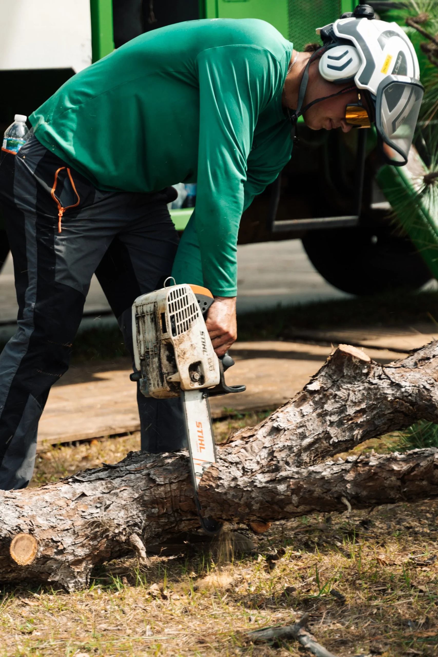 Tree and landscaping service on Siesta Key FL — palm trimming and removal