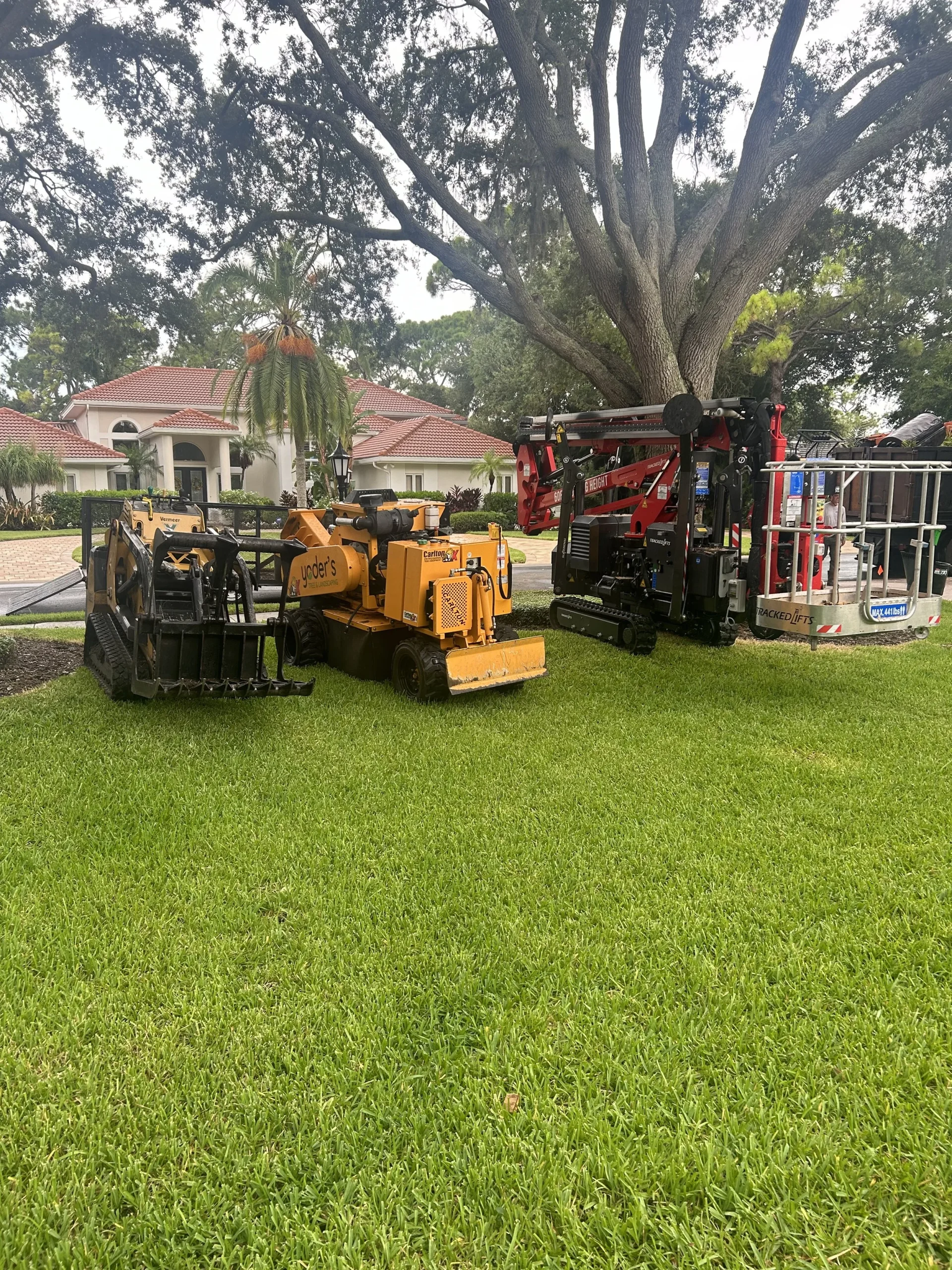 Tree trimming and pruning service on a mature shade tree in Florida