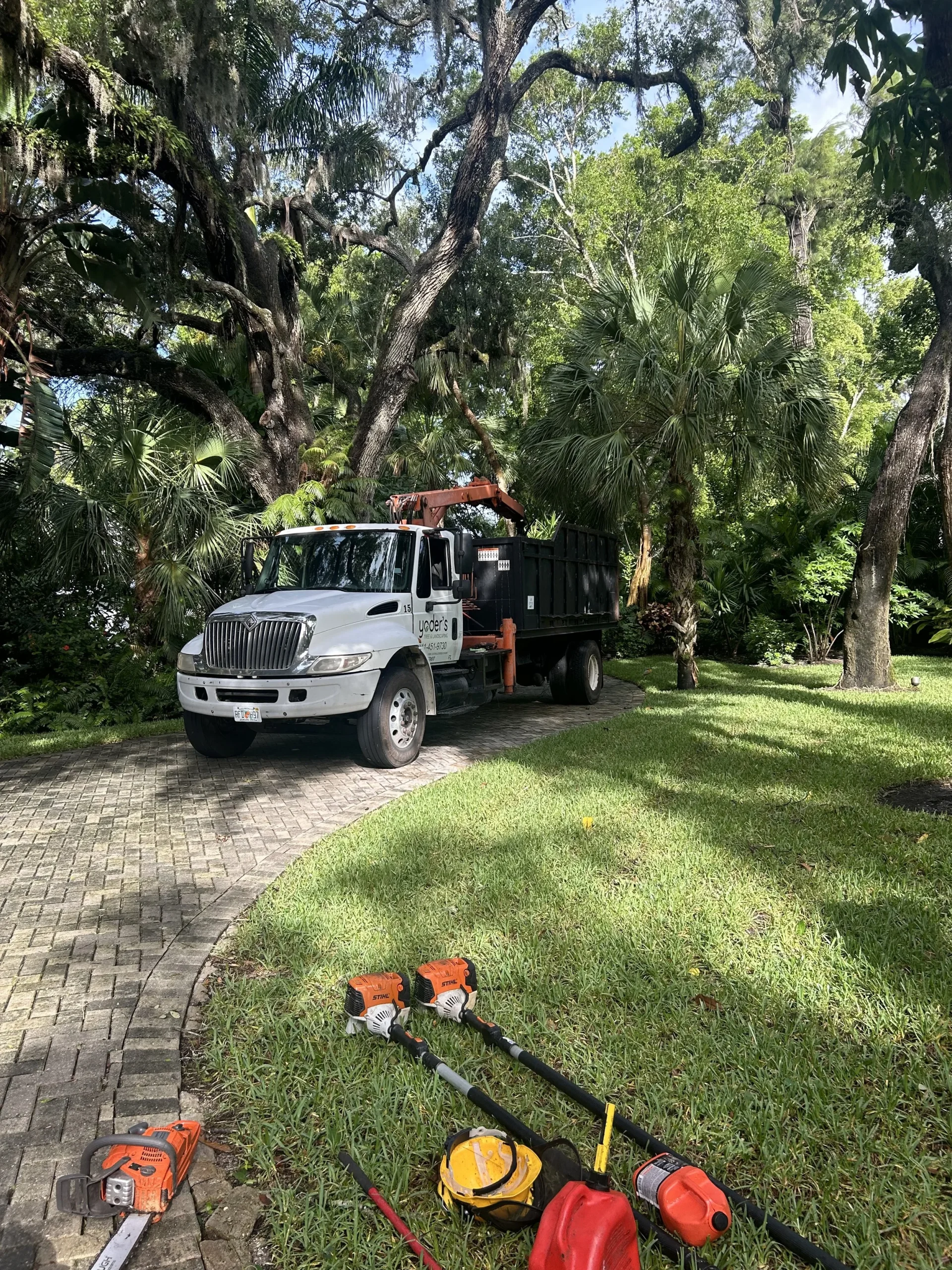 Tree trimming hero — certified crew pruning a tall tree in Sarasota FL