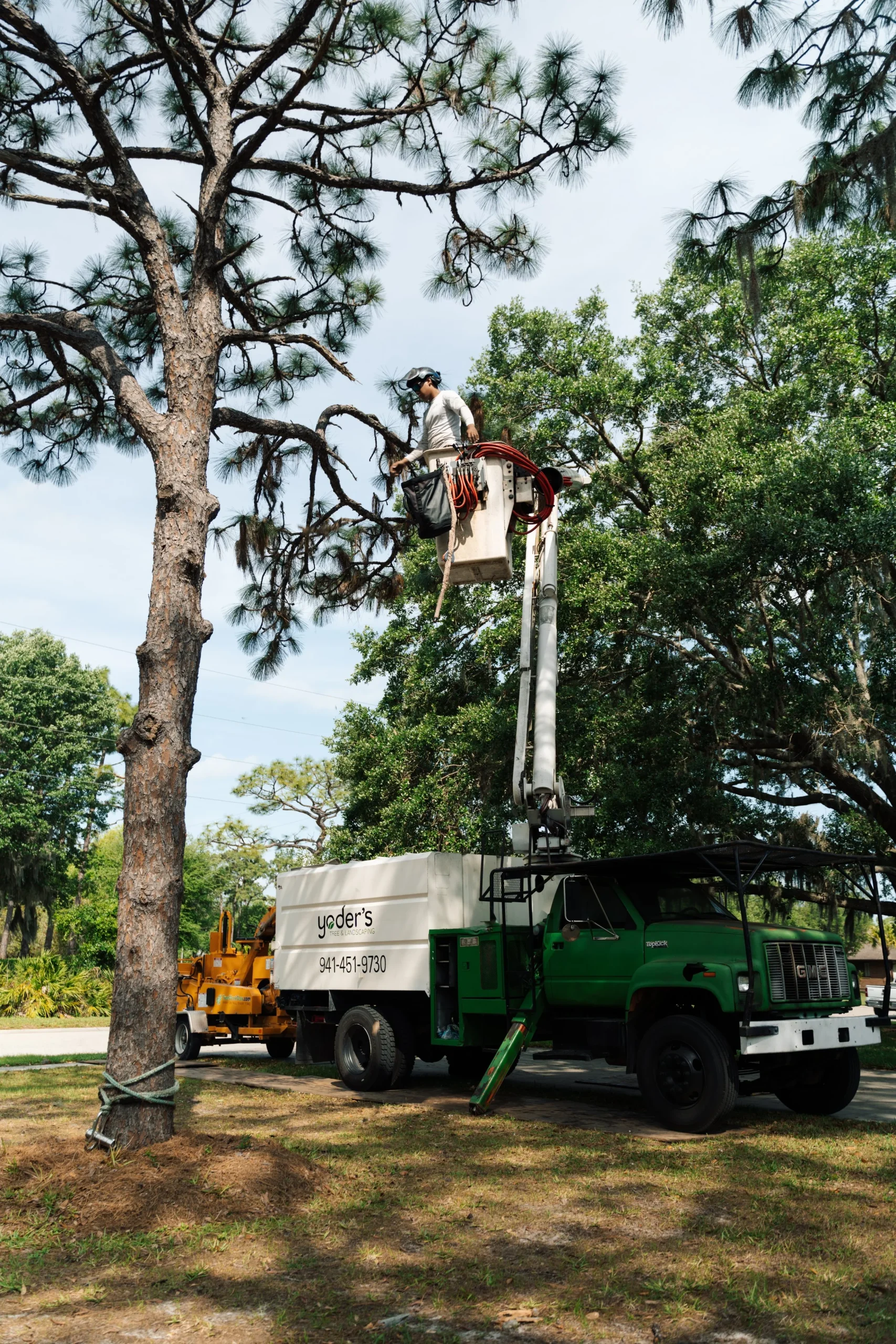 Yoder's Tree and Land Services team on a residential job site in Sarasota