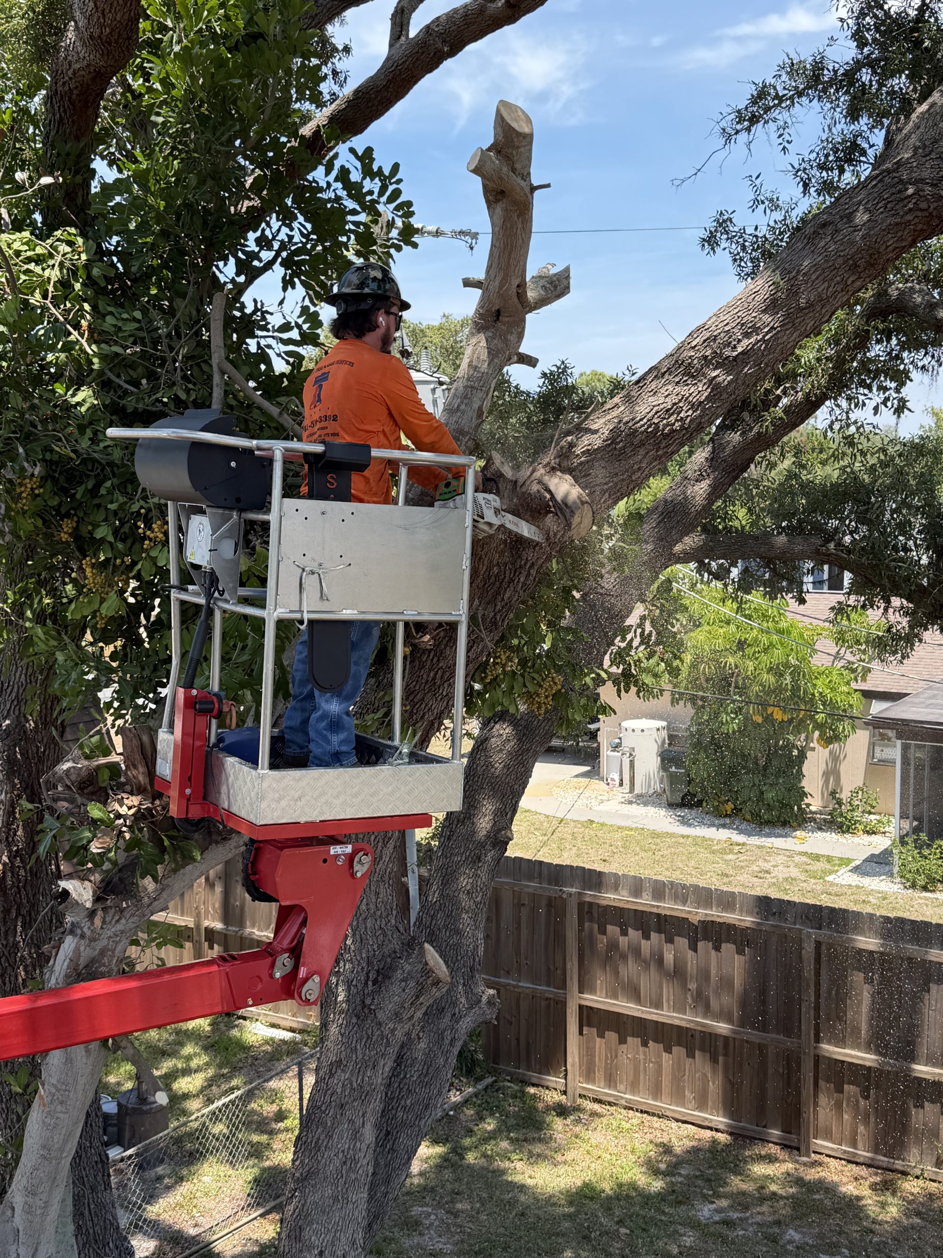 Yoders Tree & Landscaping Services