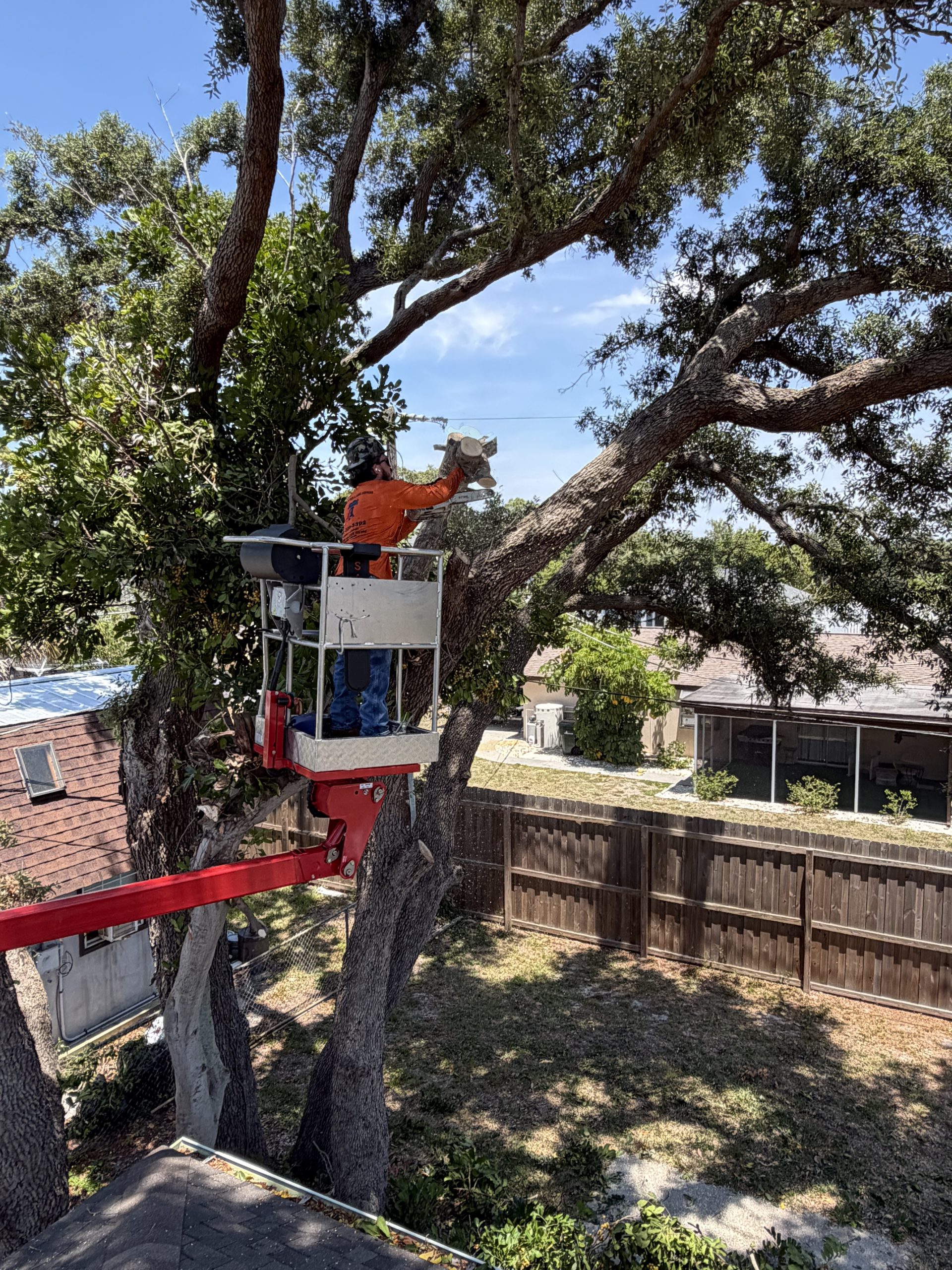 Yoders Tree & Landscaping Services