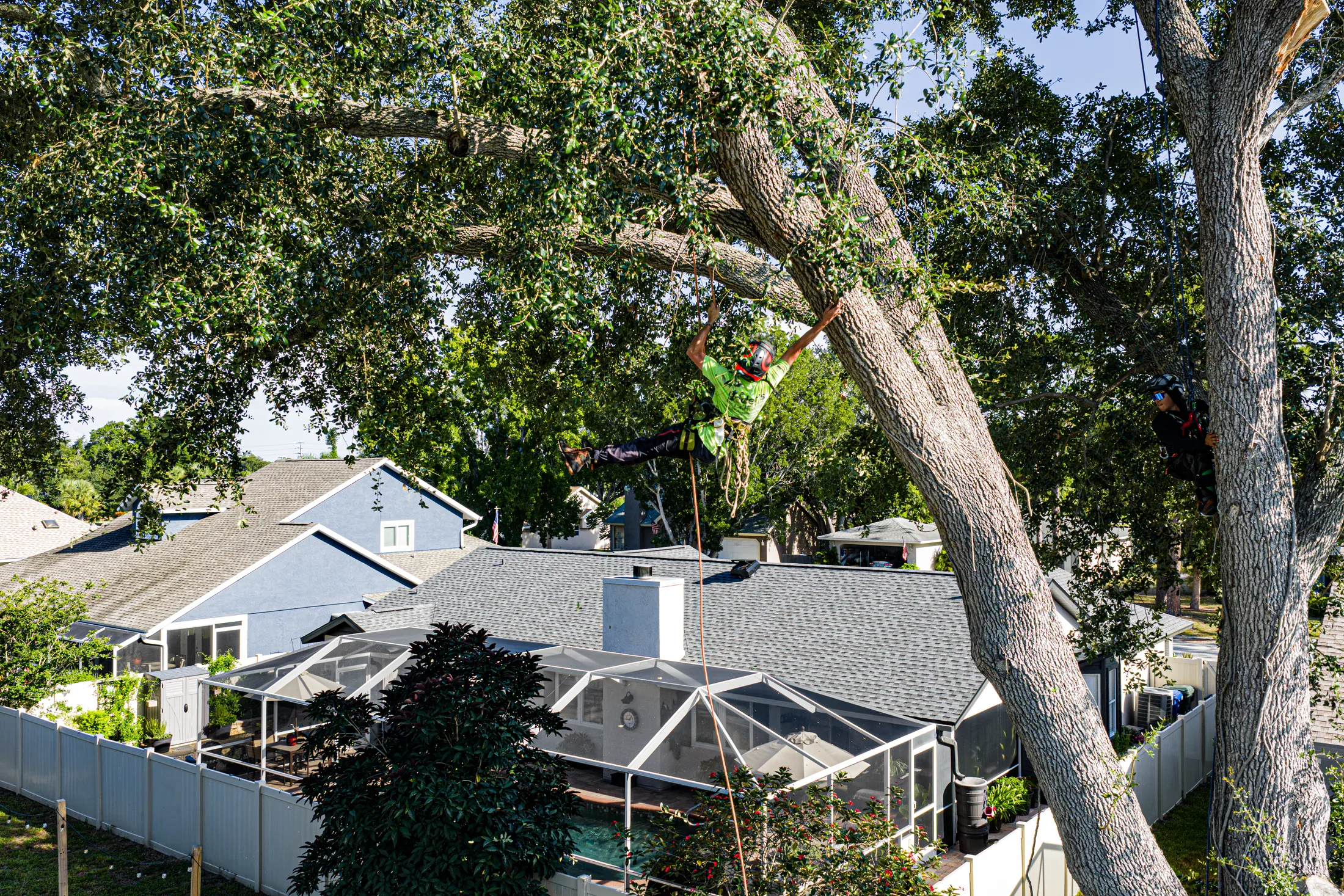 Aerial drone view of tree removal service in Sarasota, FL