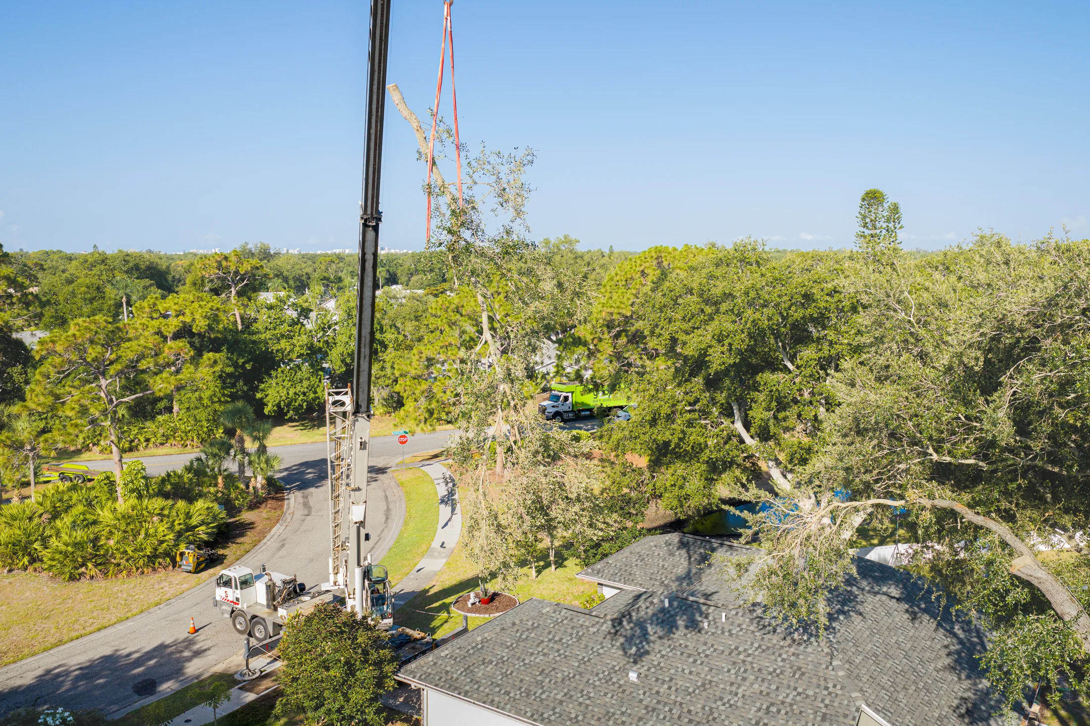 Aerial drone view of tree removal service in Sarasota, FL
