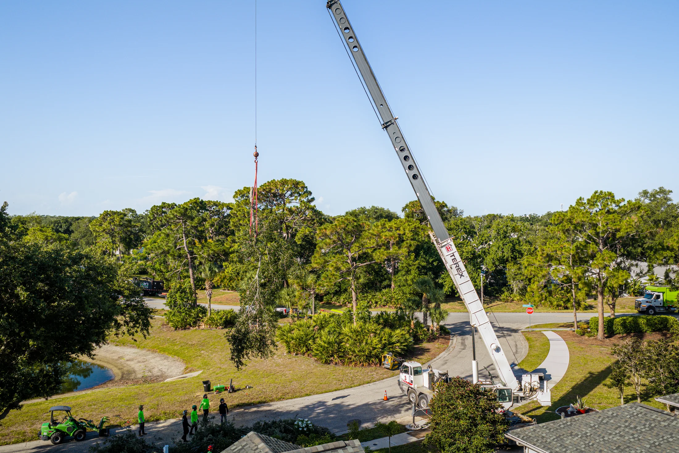 Aerial drone view of tree removal service in Sarasota, FL
