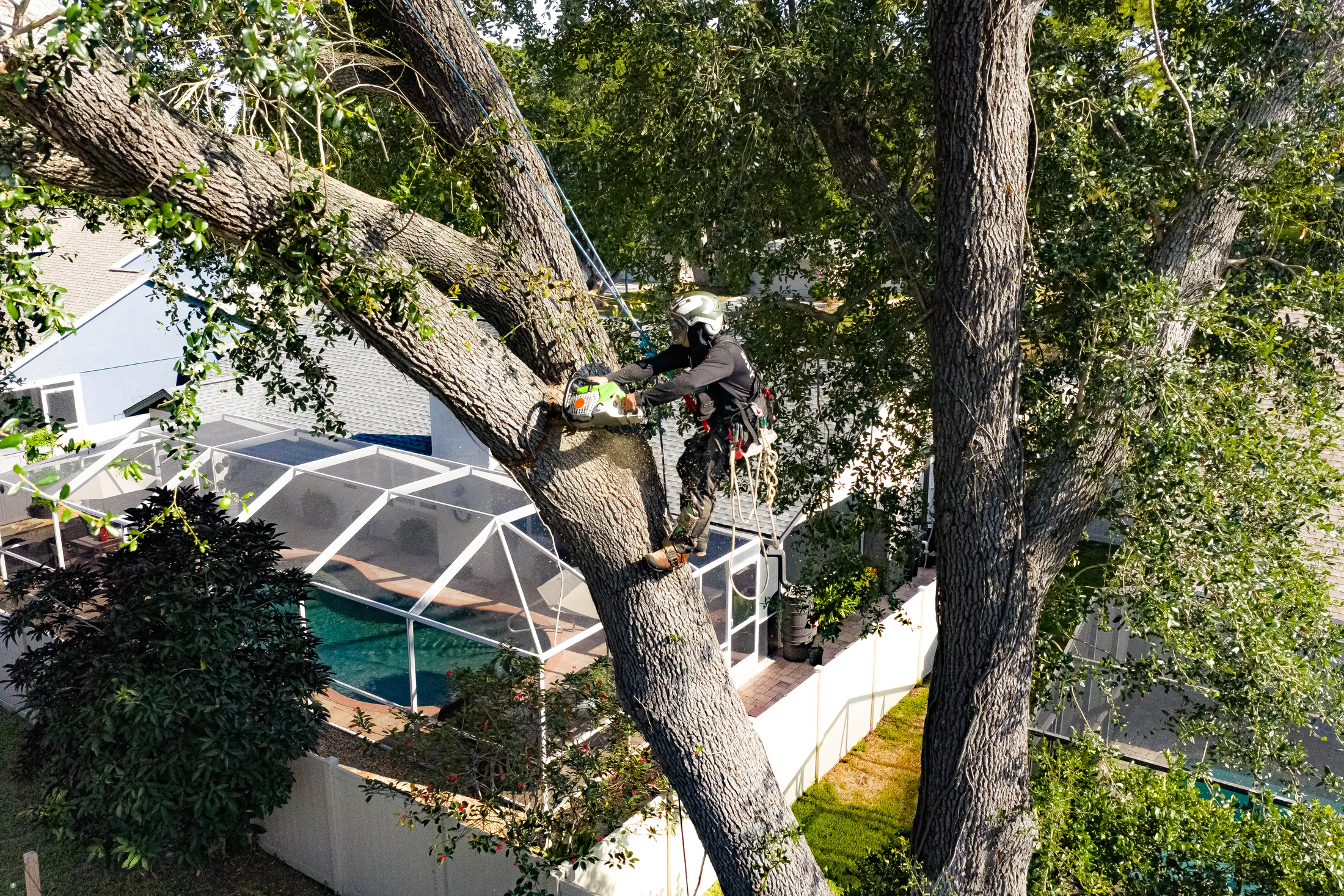 Aerial drone view of tree removal service in Sarasota, FL