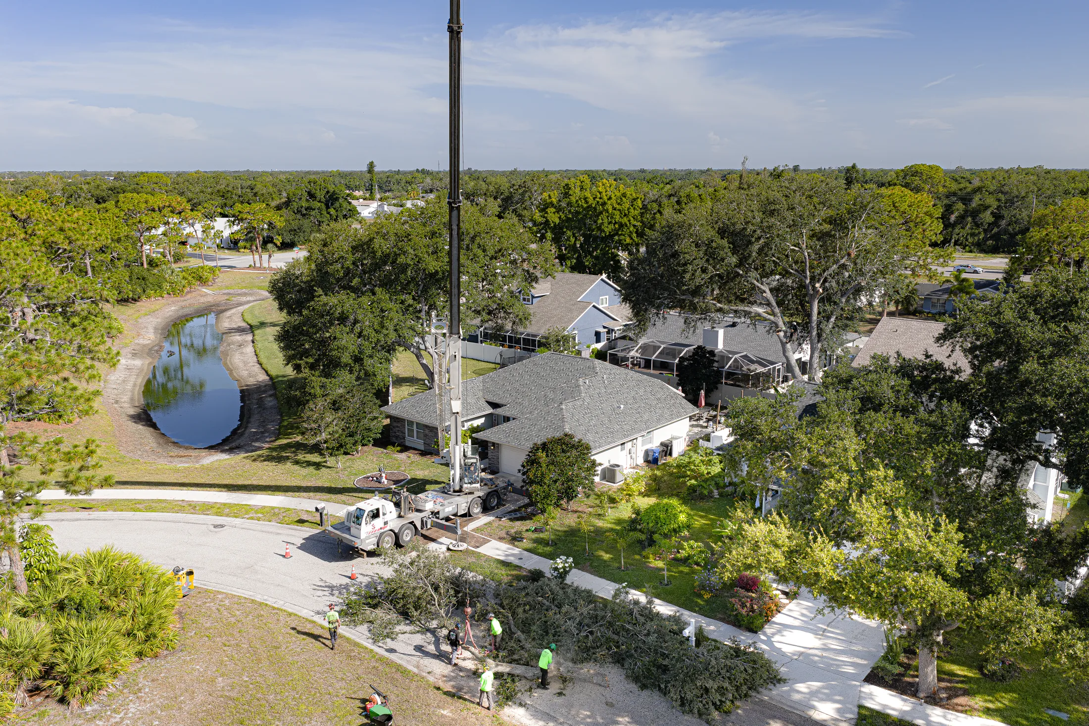 Aerial drone view of tree removal service in Sarasota, FL