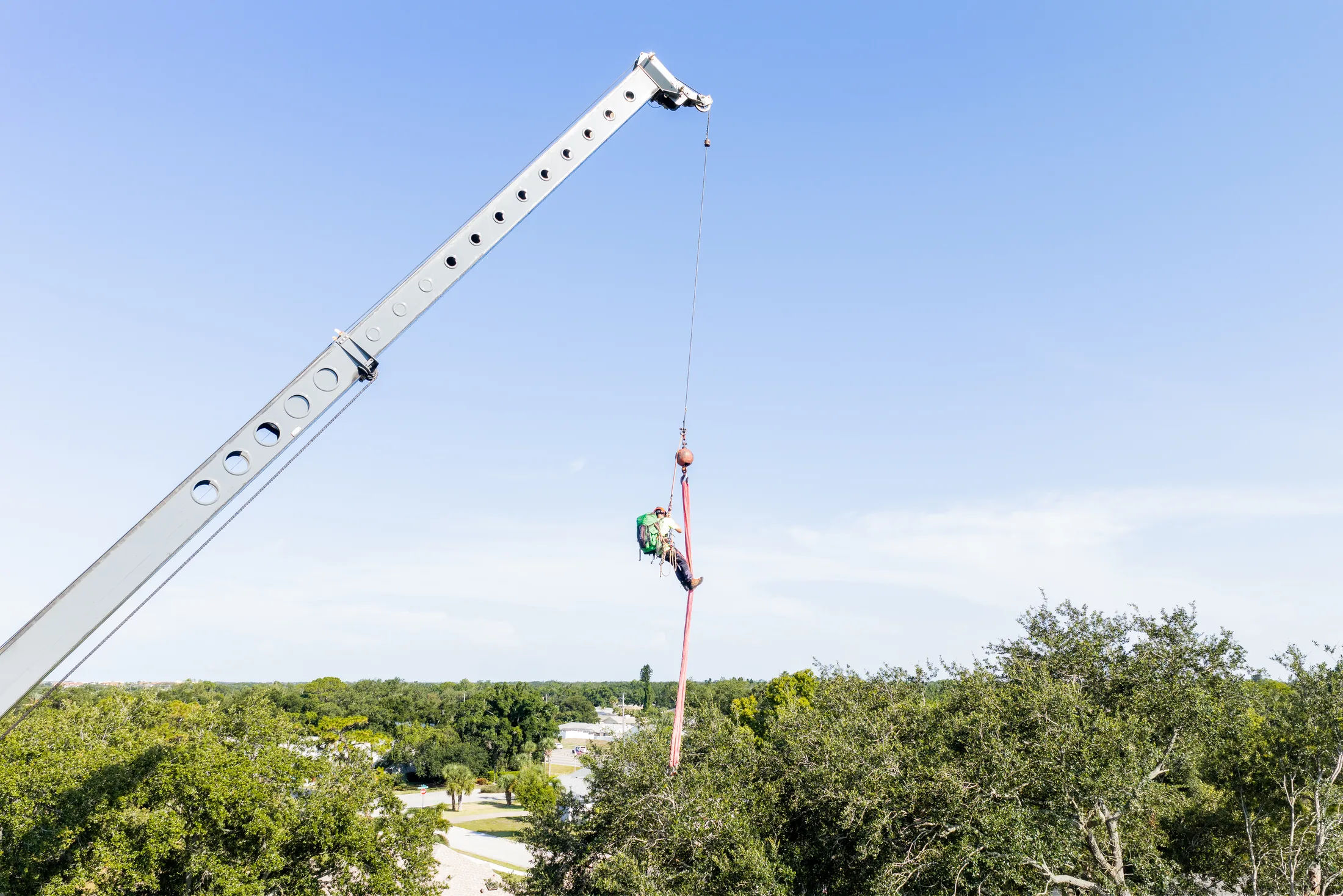 Aerial drone view of tree removal service in Sarasota, FL