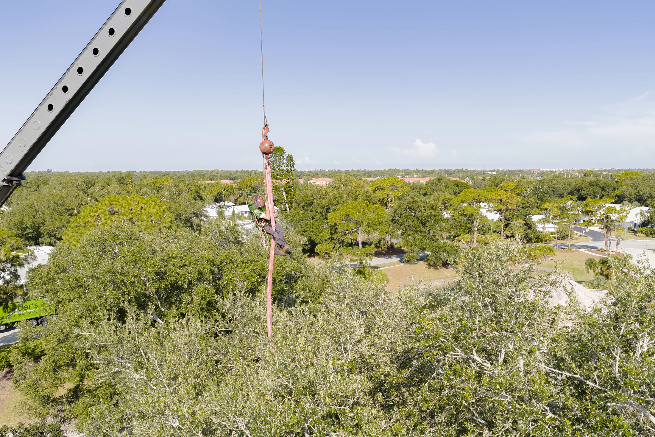 Aerial drone view of tree removal service in Sarasota, FL