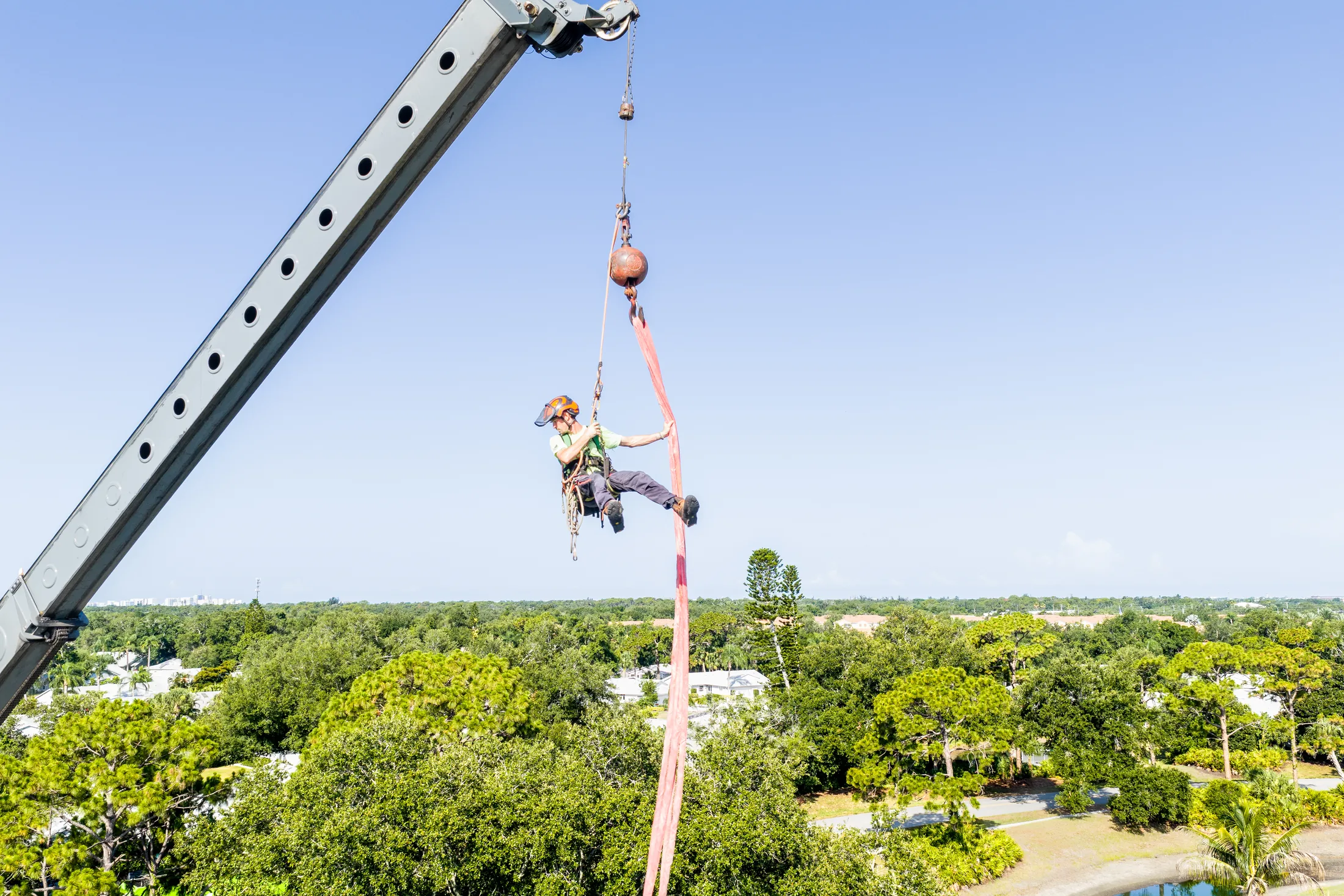 Aerial drone view of tree removal service in Sarasota, FL