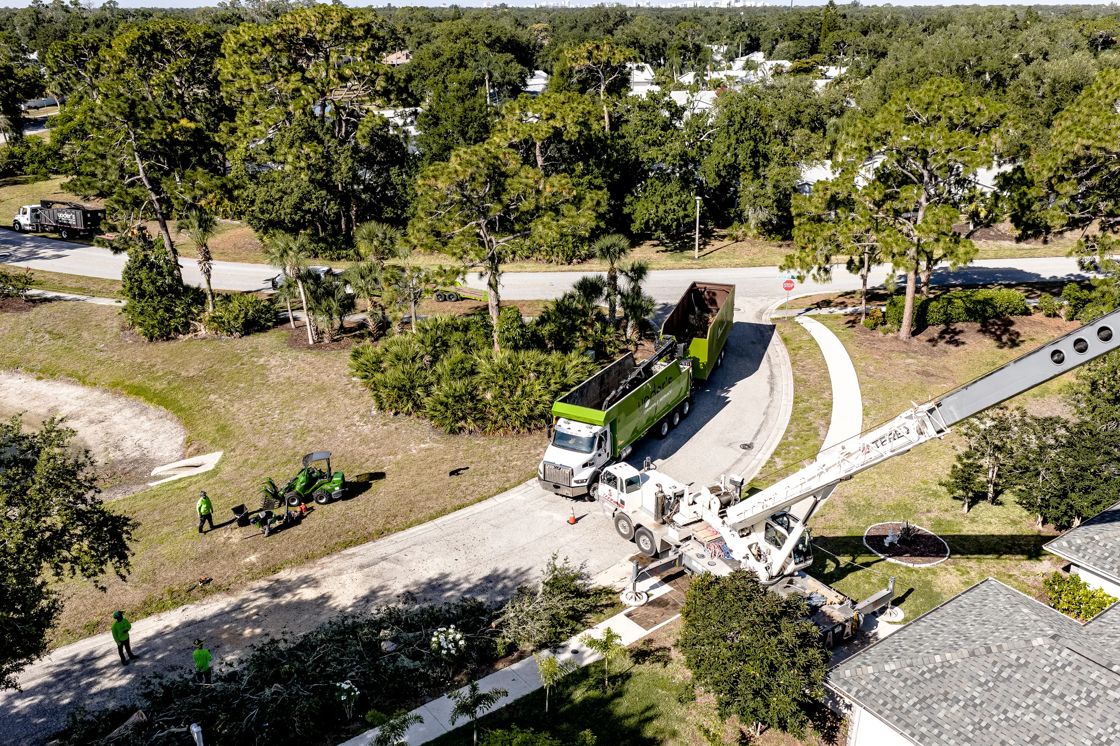 Aerial drone view of tree removal service in Sarasota, FL