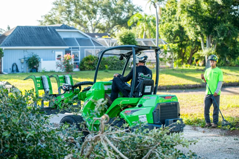Land clearing and debris removal service in Sarasota, FL