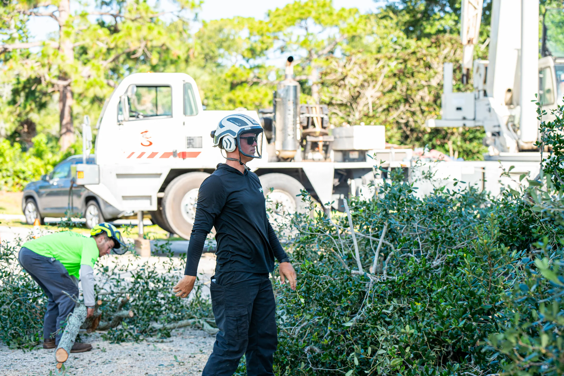 Land clearing and debris removal service in Sarasota, FL