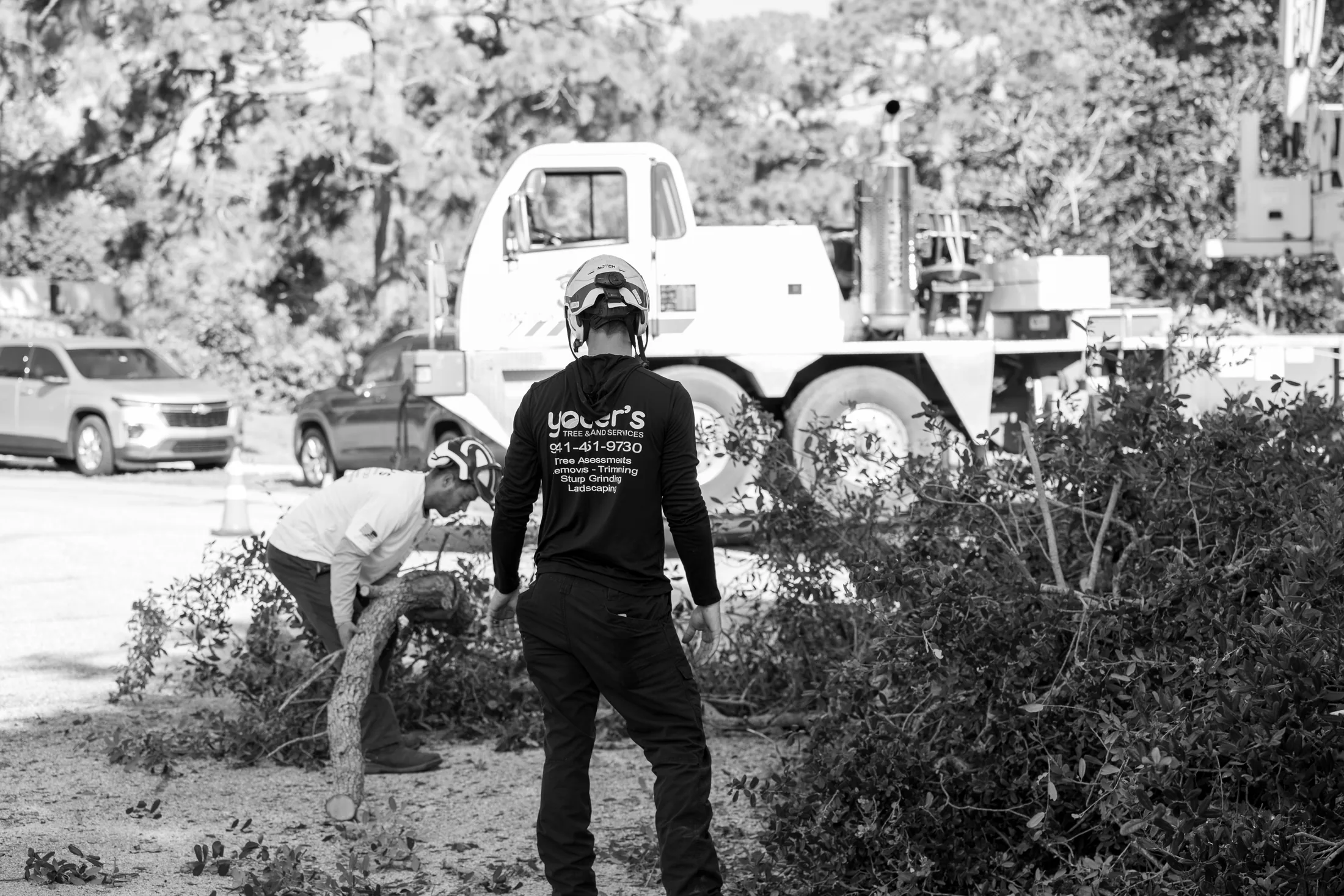 Land clearing and debris removal service in Sarasota, FL