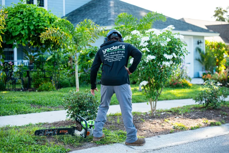 Landscaping and yard maintenance service in Sarasota, FL by Yoder's Tree & Land Services