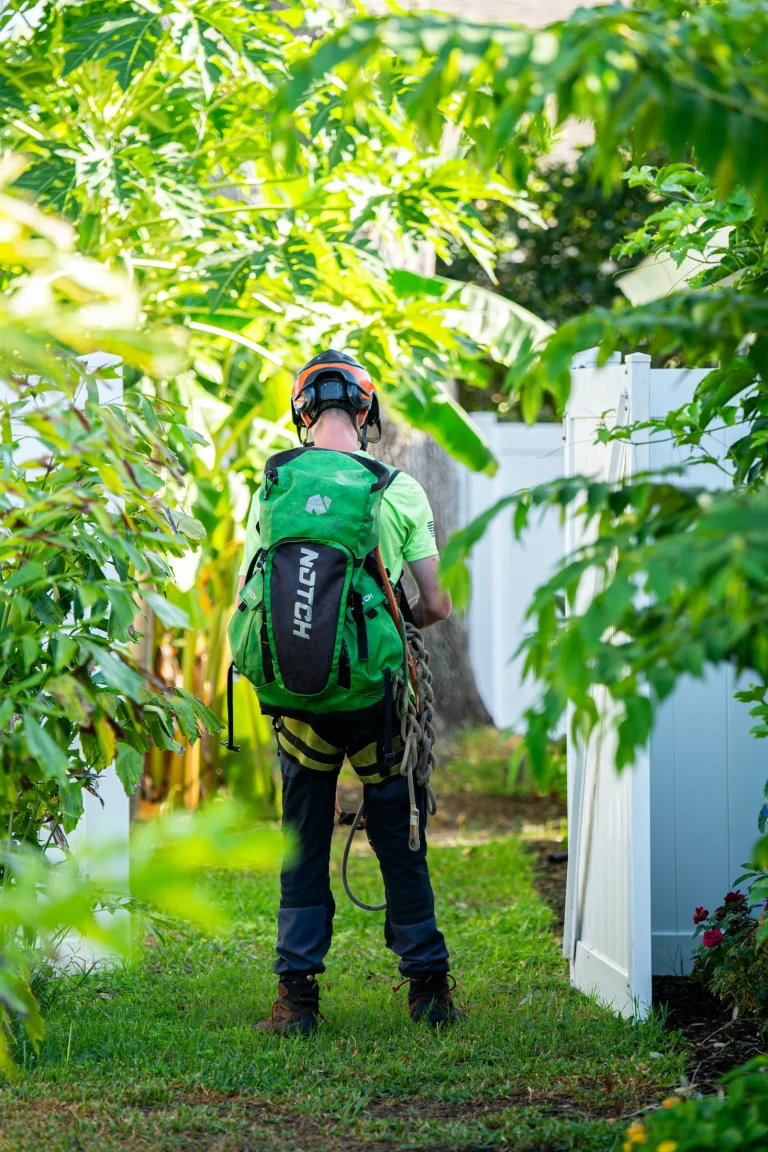Landscaping and yard maintenance service in Sarasota, FL by Yoder's Tree & Land Services