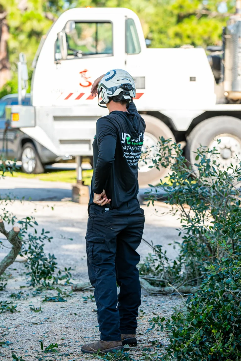 Landscaping and yard maintenance service in Sarasota, FL by Yoder's Tree & Land Services