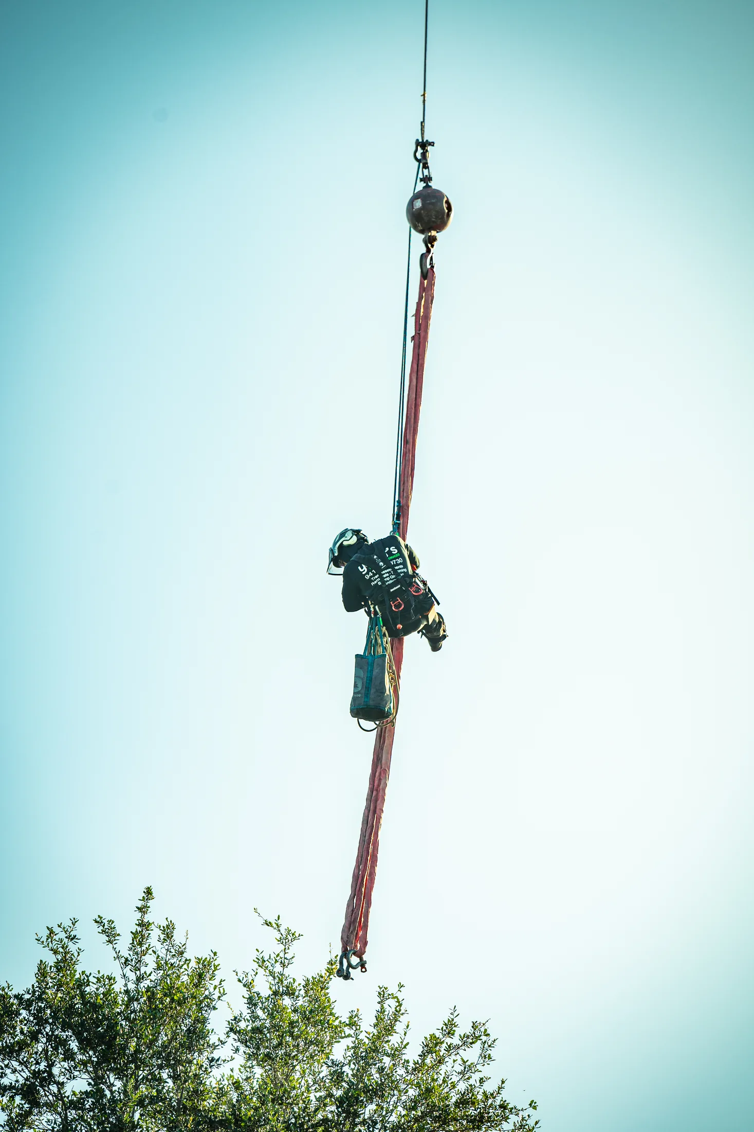 Professional tree removal service in Sarasota, FL by Yoder's Tree & Land Services