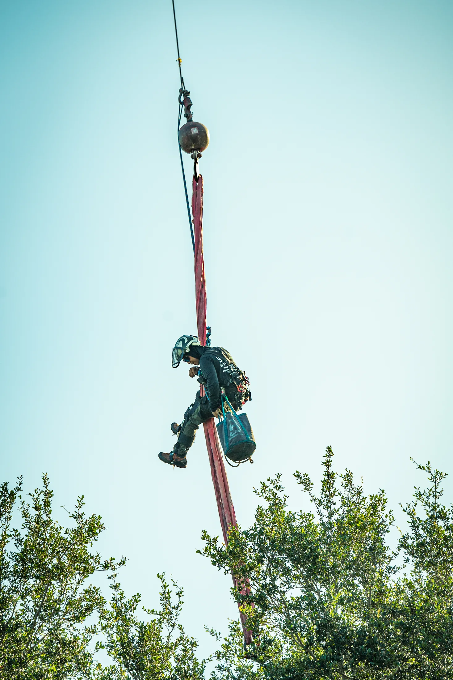 Professional tree removal service in Sarasota, FL by Yoder's Tree & Land Services