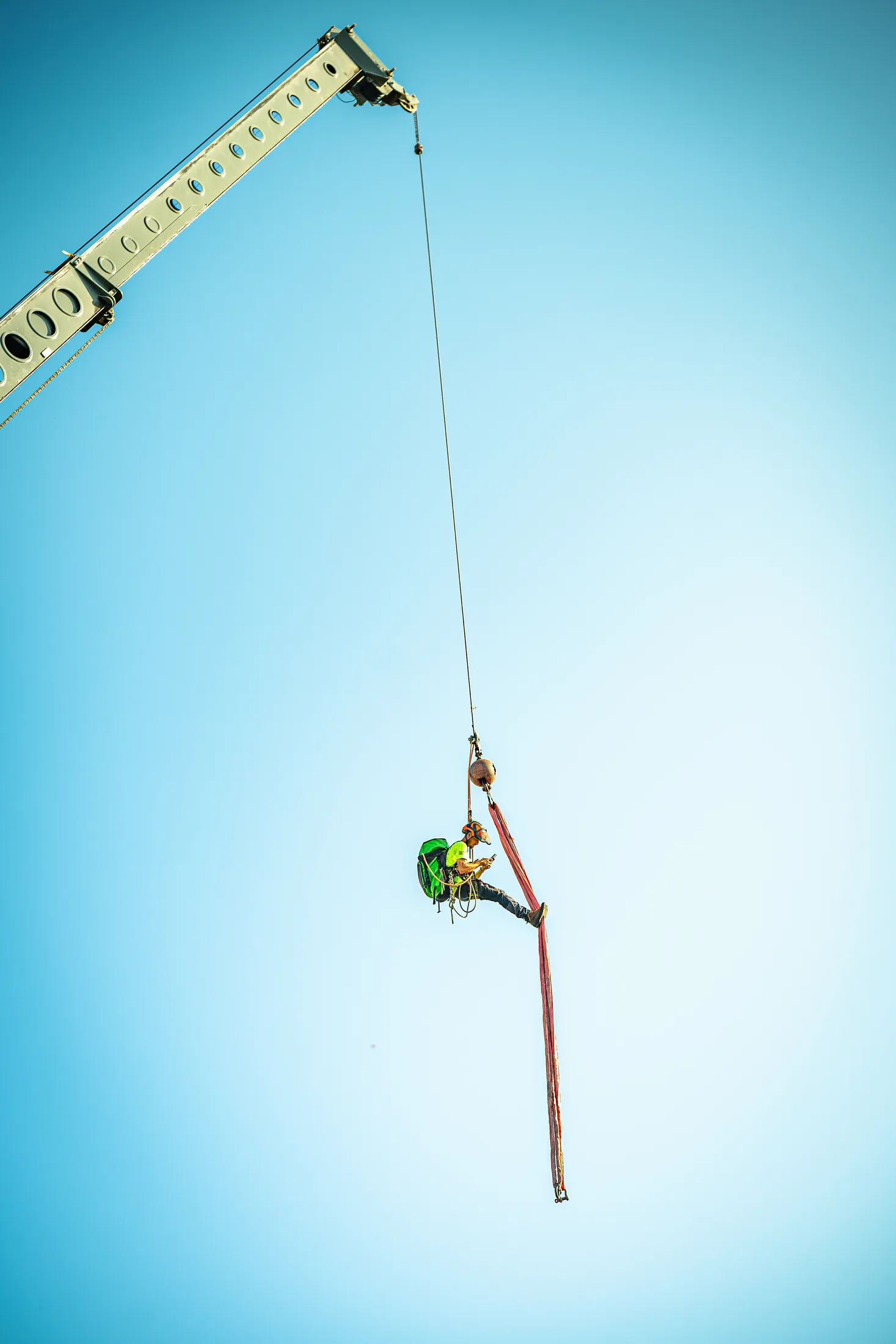 Professional tree removal service in Sarasota, FL by Yoder's Tree & Land Services