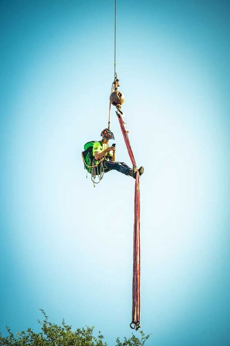 Professional tree removal service in Sarasota, FL by Yoder's Tree & Land Services