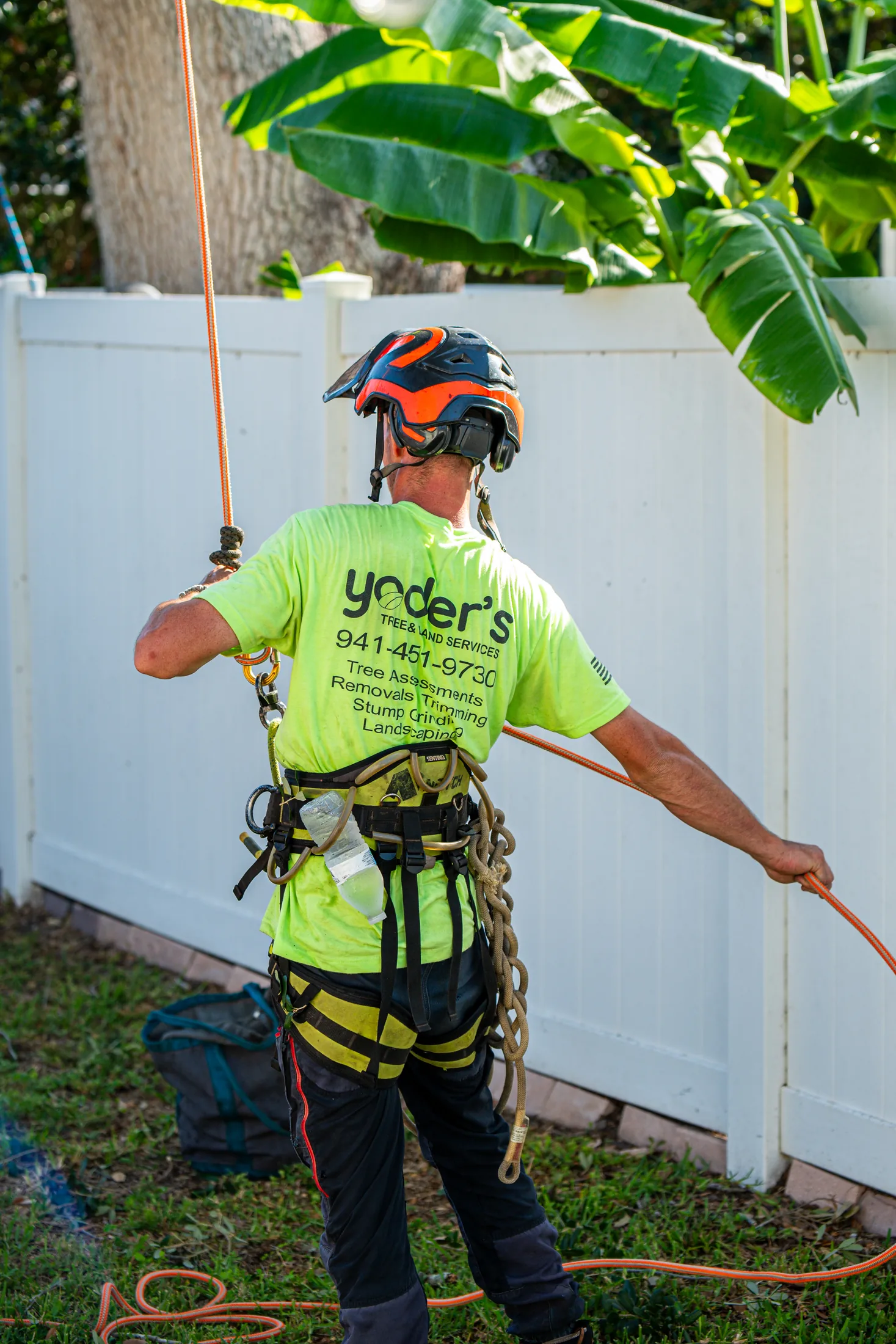 Professional tree removal service in Sarasota, FL by Yoder's Tree & Land Services