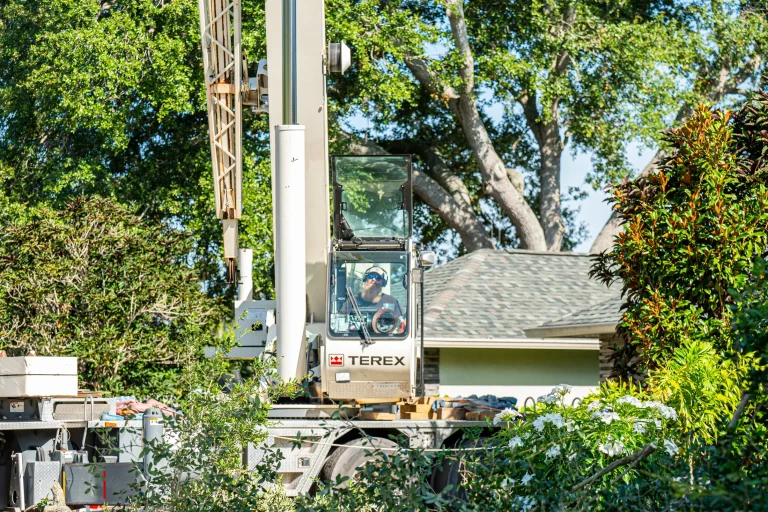 Professional tree removal service in Sarasota, FL by Yoder's Tree & Land Services