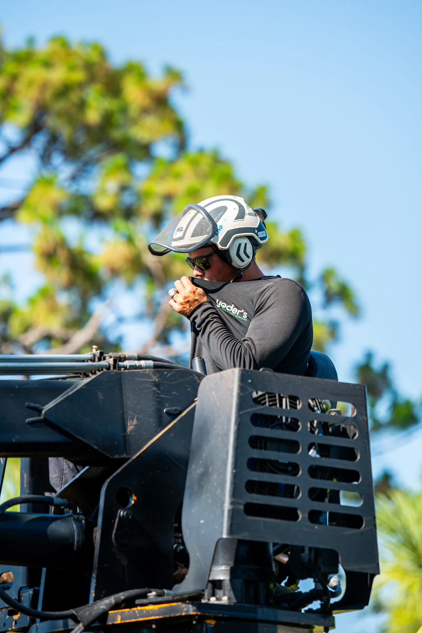 Professional tree removal service in Sarasota, FL by Yoder's Tree & Land Services
