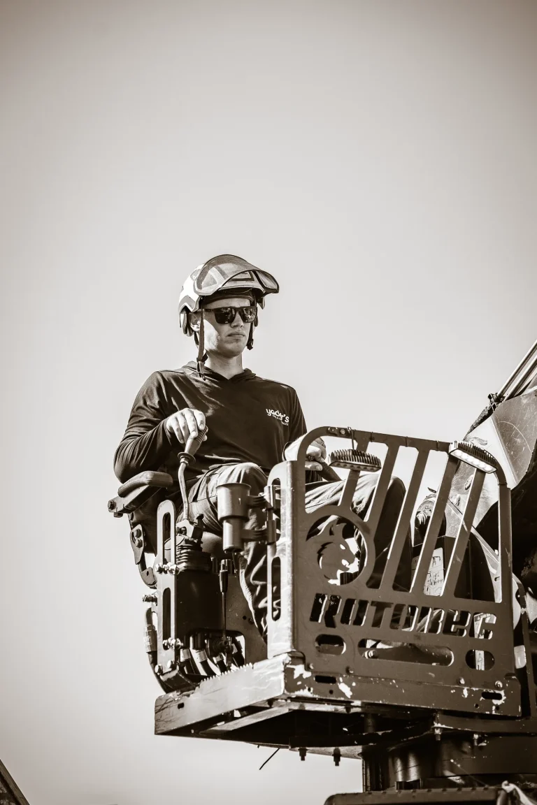 Professional tree removal service in Sarasota, FL by Yoder's Tree & Land Services