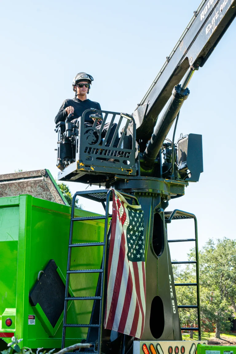 Professional tree removal service in Sarasota, FL by Yoder's Tree & Land Services