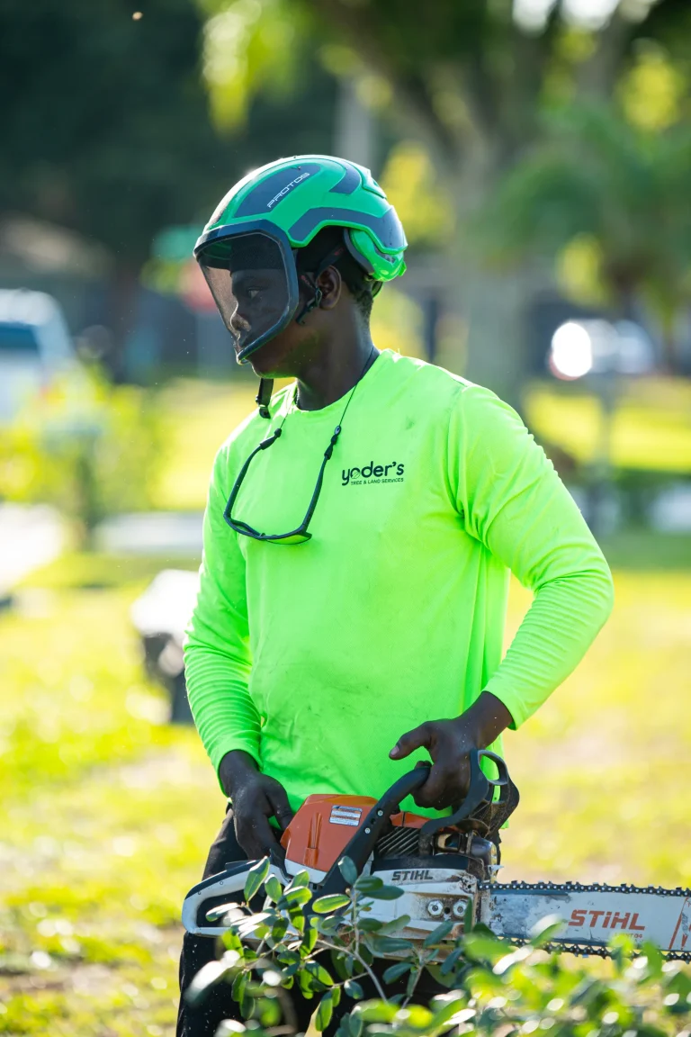 Tree trimming and pruning service in Sarasota, FL by Yoder's Tree & Land Services