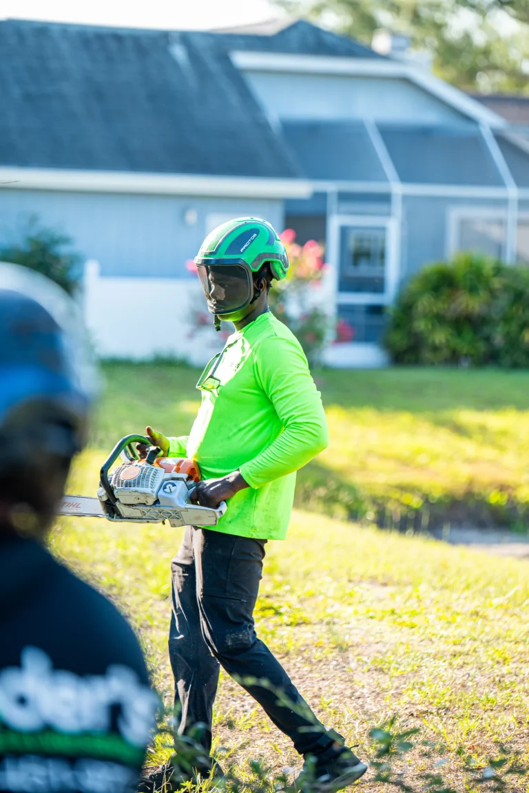 Tree trimming and pruning service in Sarasota, FL by Yoder's Tree & Land Services