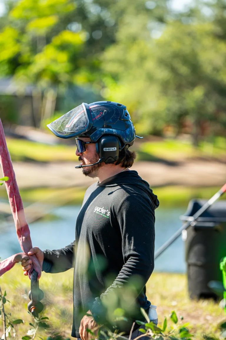 Tree trimming and pruning service in Sarasota, FL by Yoder's Tree & Land Services