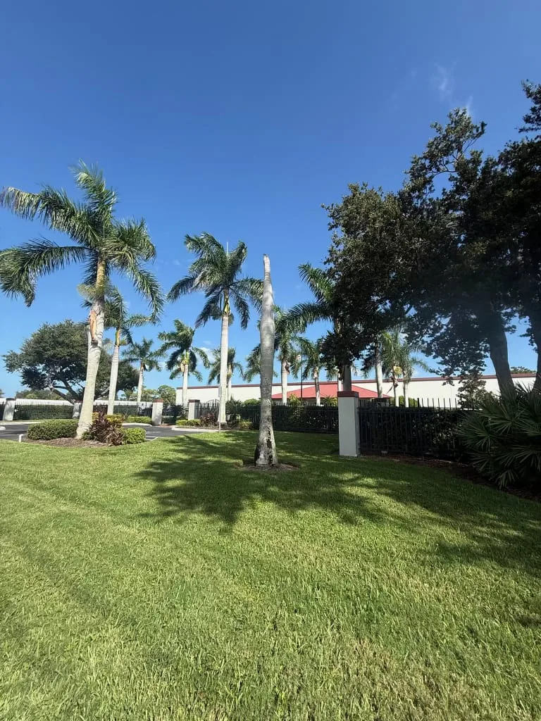 Commercial property grounds after tree removal by Yoder's Tree & Land Services in Sarasota, FL